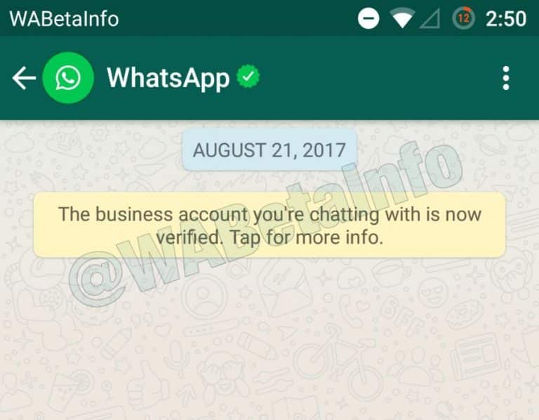 WhatsApp Verified Business Accounts TechDipper 1
