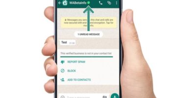 Verified WhatsApp Business TechDipper 1